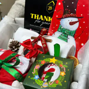 Christmas Box 3 Modele (CapySanta,Sveps,Dr.Vero)