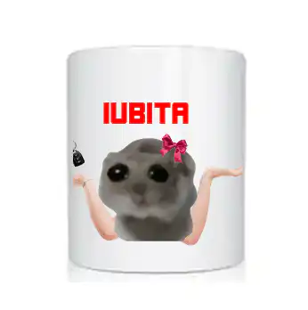 Cana STANGA? Sad Hamster