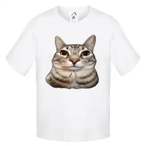 Tricou alb funny cu pisică tigrată și privire intensă